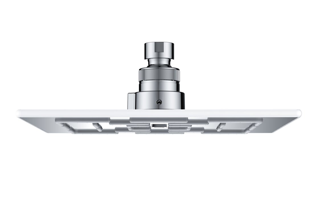 HSS0920100-10 Rainhead